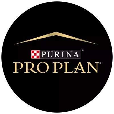 Pro Plan