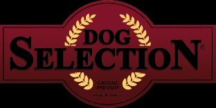 Dog Selection