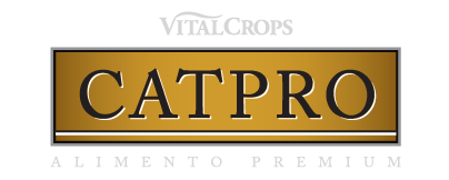 Cat Pro