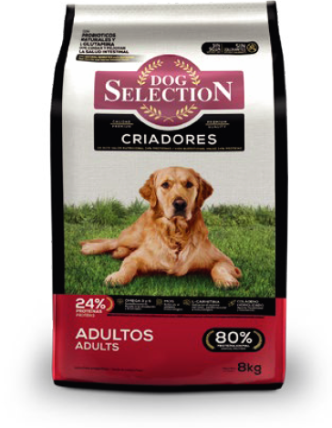 Dog Selection Adulto x 21 Kg